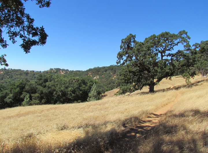 Henry W. Coe State Park